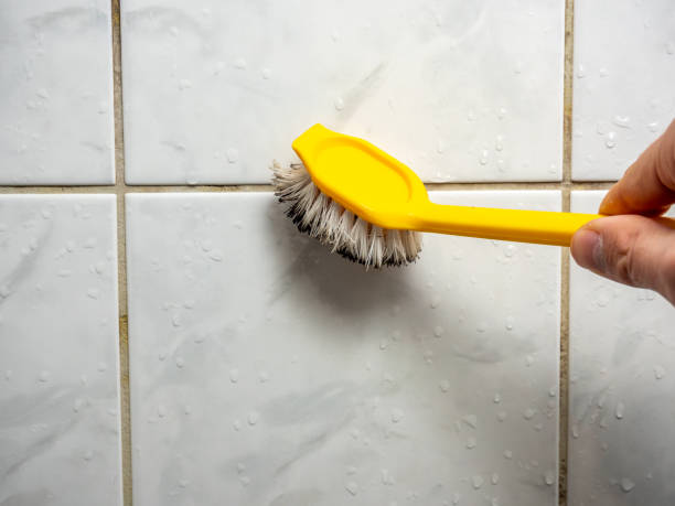 Best Office Mold Removal Services  in Boulder Hl, IL
