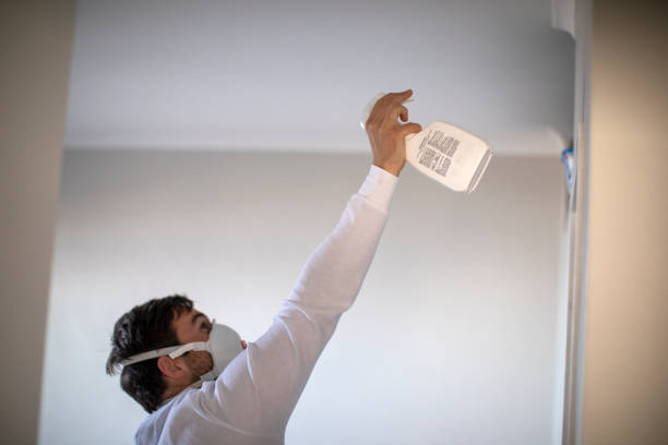 Best Toxic Mold Removal  in Boulder Hl, IL