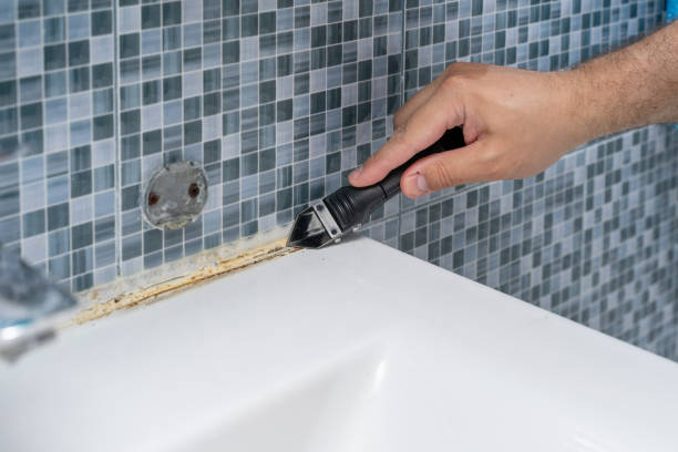 Best Local Mold Removal Service  in Boulder Hl, IL